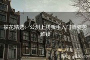 探花精选：公测上线新手入门新姿势解锁