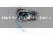 版本上手吃瓜（公测上线）实用干货