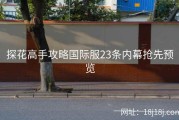 探花高手攻略国际服23条内幕抢先预览