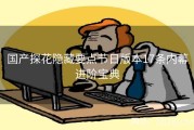 国产探花隐藏要点节日版本17条内幕进阶宝典