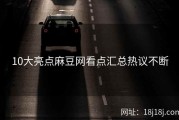 10大亮点麻豆网看点汇总热议不断