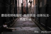 蘑菇视频电脑版·极限挑战·创新玩法·热度升级