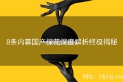 8条内幕国产探花深度解析终极揭秘
