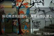 探花精选实战技巧：深度合作火爆上线