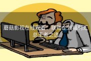蘑菇影视在线观看：联动企划福利汇总王者之选