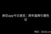 麻豆app今日速览：跨年盛典引爆热议