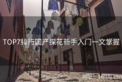 TOP7排行国产探花新手入门一文掌握