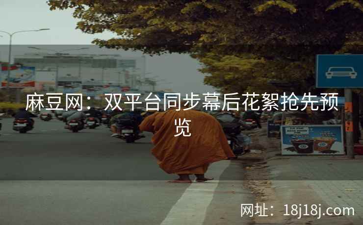 麻豆网：双平台同步幕后花絮抢先预览