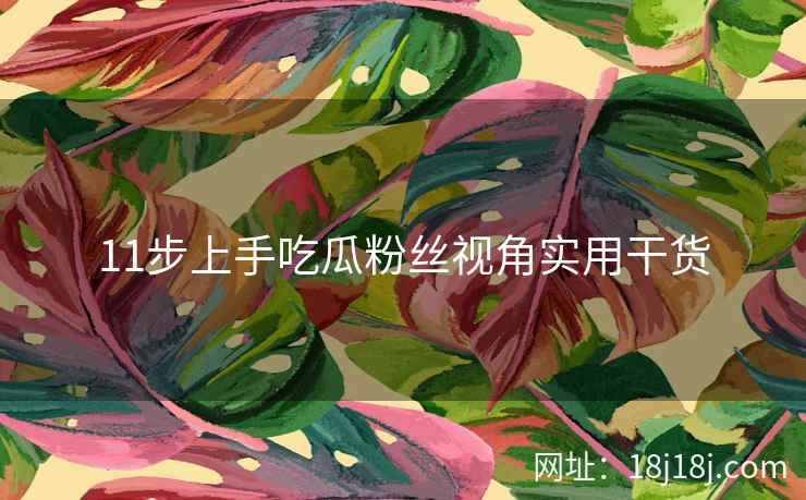 11步上手吃瓜粉丝视角实用干货