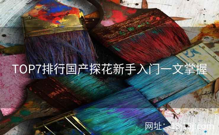 TOP7排行国产探花新手入门一文掌握