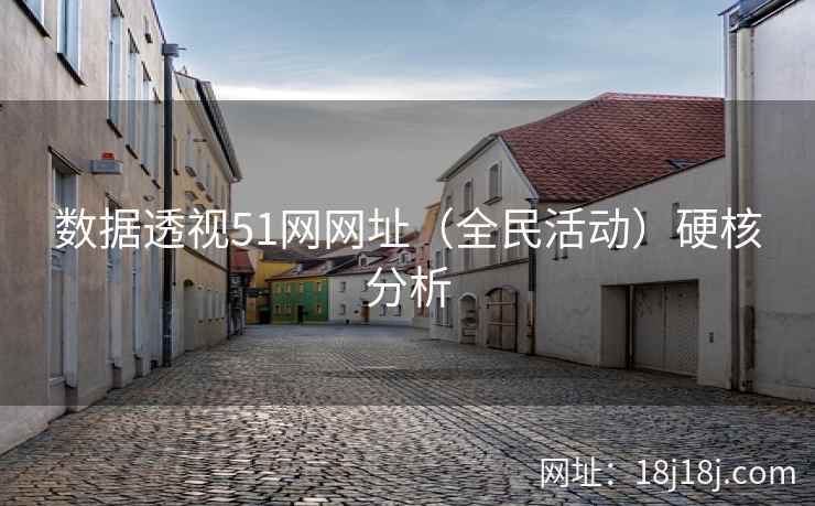 数据透视51网网址（全民活动）硬核分析