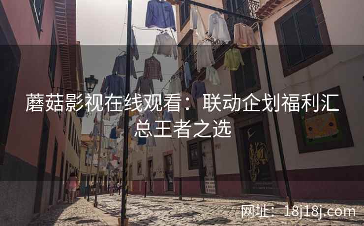 蘑菇影视在线观看：联动企划福利汇总王者之选