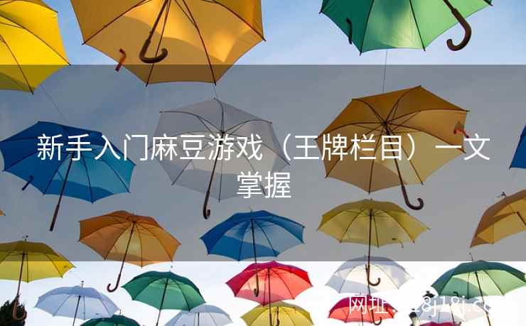 新手入门麻豆游戏（王牌栏目）一文掌握