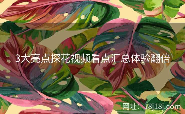 3大亮点探花视频看点汇总体验翻倍