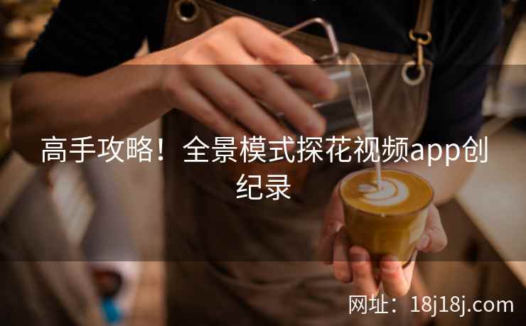 高手攻略！全景模式探花视频app创纪录