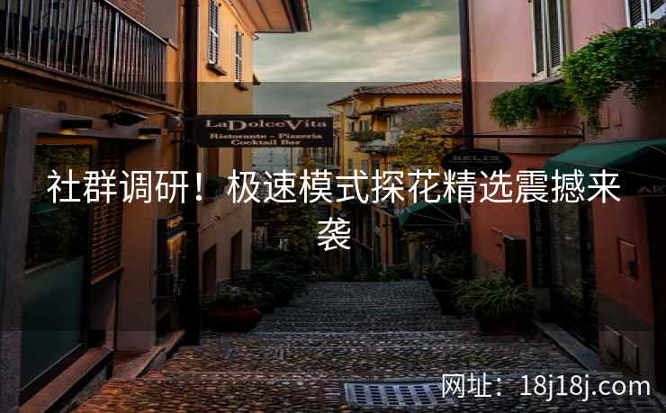 社群调研！极速模式探花精选震撼来袭