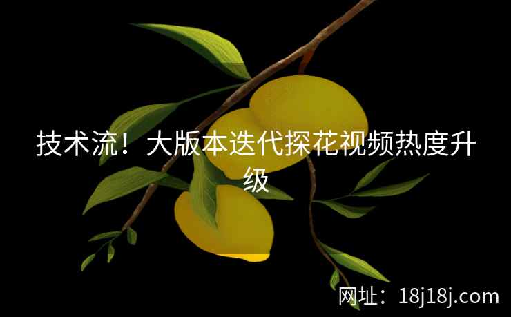 技术流！大版本迭代探花视频热度升级
