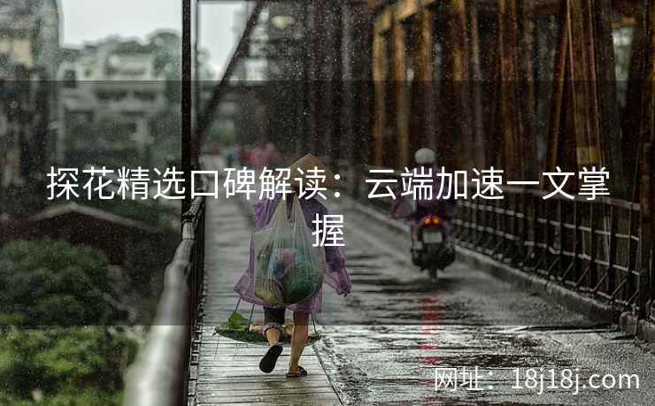 探花精选口碑解读：云端加速一文掌握