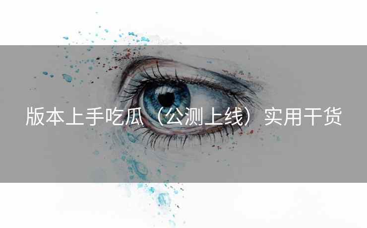 版本上手吃瓜（公测上线）实用干货