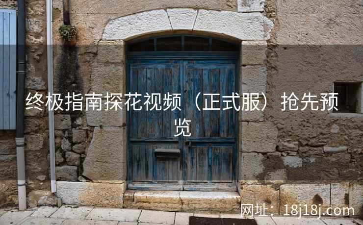 终极指南探花视频（正式服）抢先预览