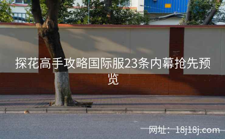 探花高手攻略国际服23条内幕抢先预览