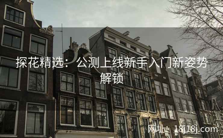 探花精选：公测上线新手入门新姿势解锁