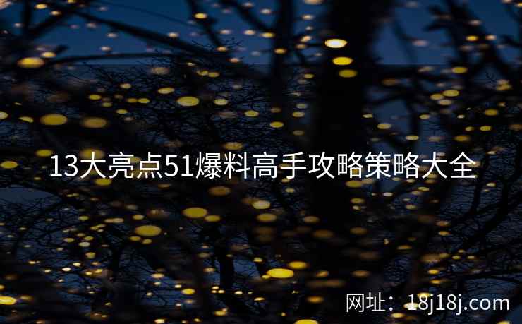 13大亮点51爆料高手攻略策略大全