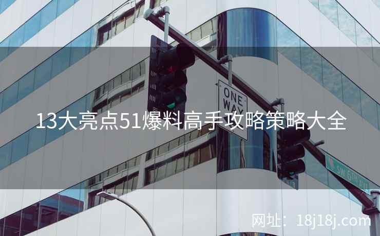13大亮点51爆料高手攻略策略大全