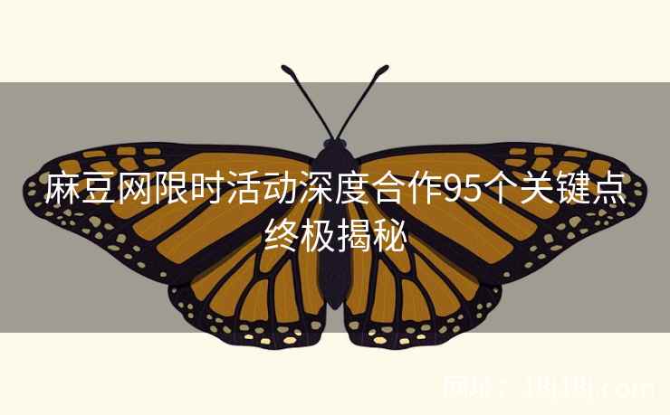 麻豆网限时活动深度合作95个关键点终极揭秘