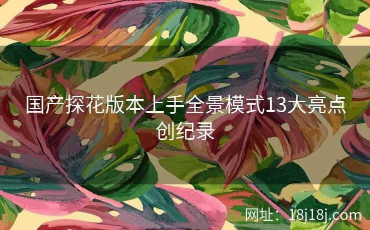 国产探花版本上手全景模式13大亮点创纪录